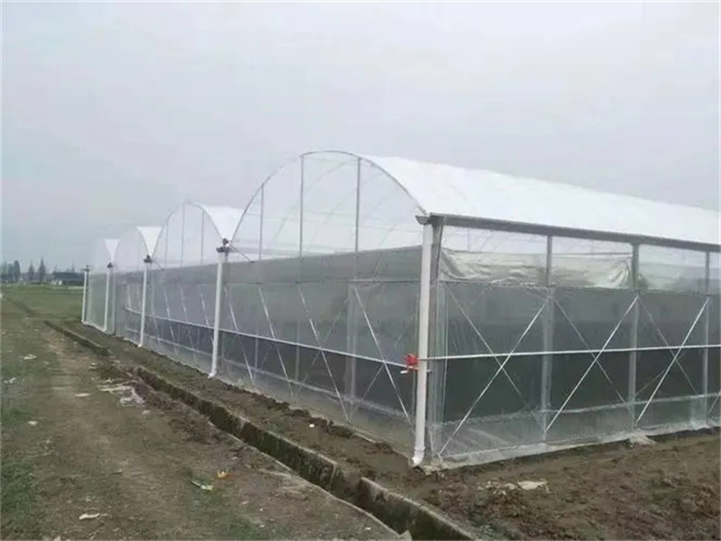 避雨棚